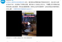 坐MPV抢了领导位置被公司辞退 极氪009营销疑似翻车 - v2ra小站