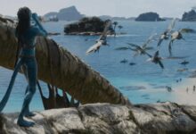 卡梅隆拍《阿凡达2》期间沉迷深海探索 剧组提心吊胆 - v2ra小站