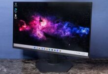 猫猫狗狗看电脑显示器是什么样的？很神奇 - v2ra小站