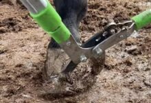 大家口味这么重？修驴蹄子有什么好看的：巨大解压感、强迫症也满足 - v2ra小站