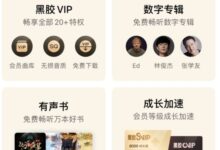 网易云音乐上线黑胶SVIP页面：可听数字专辑 40元/月 - v2ra小站