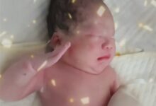 刚出生宝宝被夸一脸正气后抬手敬礼 网友：孟婆汤不管用了 - v2ra小站