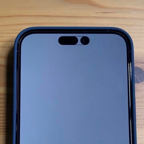 网友激活iPhone 14 Pro灵动岛特殊模式:双开孔真实面目辣眼睛 - v2ra小站