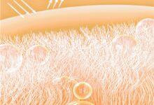 充电8分钟温暖一整夜 仿兔绒智能防爆暖水袋12.9元 - v2ra小站