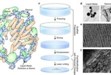 科学家证明吃“土”可治疗肠炎！中国学者造出神奇的材料 - v2ra小站
