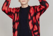 美腕否认李佳琦双11预售首日交易额达215亿：数据不实 - v2ra小站