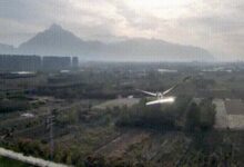 西工大仿鸟飞行器新突破：飞行时长达123分钟 可抗4级风 - v2ra小站