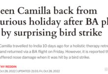 英国王后所乘飞机遭意外撞击：从印度返回 着陆时遭鸟撞机头受损 - v2ra小站