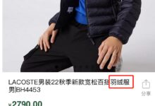 2000多元的羽绒服内无羽绒！法国鳄鱼回应：补偿3倍货款 - v2ra小站