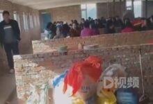 女子参加朋友婚礼在猪圈吃席：网友吵起来了 - v2ra小站