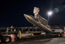 斥资60万美元 马斯克粉丝为其制作纪念碑 网友：丑得像只虫子 - v2ra小站