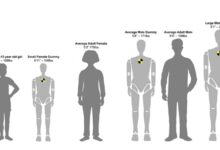1米6高、62公斤：全球首个女性假人加入碰撞测试 - v2ra小站