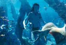 片长190分钟!卡梅隆科幻巨制《阿凡达2:水之道》新预告发布:重返潘多拉 - v2ra小站