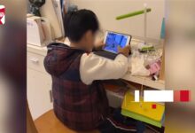 8岁男孩休学打游戏 父母定制KPI每天玩16小时:网瘾治好 已乖乖上网课 - v2ra小站