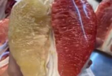男孩买水果发现罕见双色柚子 专家分析：胡萝卜素表达出问题 不影响食用 - v2ra小站