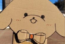 大三女生用穿越机打造出百公里加速2秒的纸狗 还会翻跟头 - v2ra小站