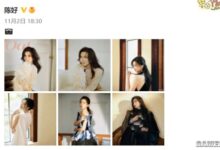 陈好晒美照引围观 “万人迷”依旧魅力无限:网友感慨都43岁了 - v2ra小站