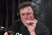 一个马斯克 吓跑了一堆人 - v2ra小站