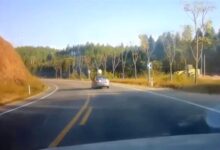 日产轩逸弯道高速超车后失控：一头扎进河沟 - v2ra小站