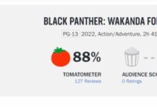 漫威《黑豹2》电影评分解禁：烂番茄新鲜度88%、MC均分71 - v2ra小站