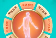 人体8大系统36+器官：全身体检套餐290元冬季大促 - v2ra小站