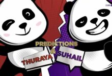 又猜中了!熊猫真是本届世界杯的大预言家 - v2ra小站