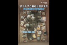 长沙女子自制霉豆腐长黑毛仍要吃 从小吃到大没事：网友科普是霉变 - v2ra小站