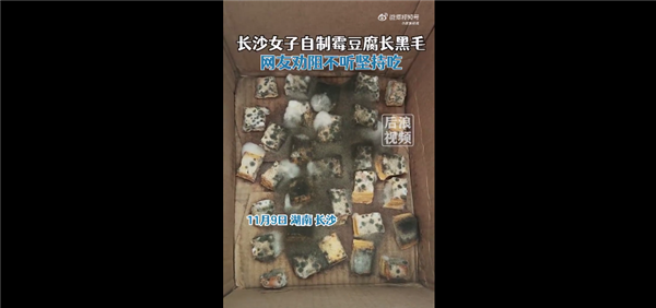 长沙女子自制霉豆腐长黑毛仍要吃 从小吃到大没事:网友科普是霉变 - v2ra小站