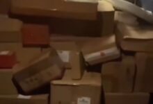 这届网友囤货有多硬核 山东一女子双11网购像进年货 - v2ra小站