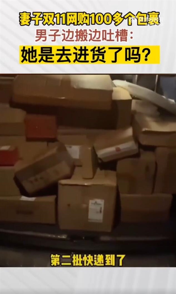 这届网友囤货有多硬核 山东一女子双11网购像进年货 - v2ra小站