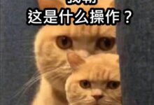 ARM突然抽风 高通、联发科这几年白干了？ - v2ra小站