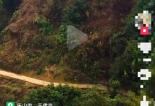 官方回应四川现乐山大佛孪生兄弟：竟是近代雕塑艺术作品 不是文物 - v2ra小站