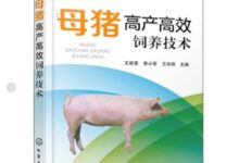 微信PC版支持图片快速提取文字了 如此方便 - v2ra小站