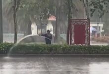 绿化员工雨天给大树浇水引热议!专家科普:避免酸雨危害草花 - v2ra小站