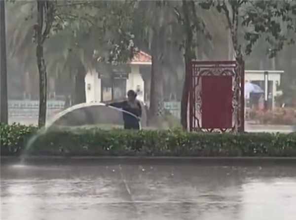 绿化员工雨天给大树浇水引热议!专家科普:避免酸雨危害草花 - v2ra小站