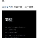 跟“羊”沾边的都火了！比亚迪的高端品牌“仰望”能火吗？ - v2ra小站