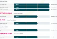 100%癌症缓解率 NK细胞“杀疯了” - v2ra小站