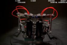 手工耿发明机械外骨骼菜刀 网友：半自动凌迟刑具 - v2ra小站