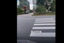 流浪猫在上海CBD拥有豪华猫舍引关注 网友感慨：替我实现了别墅梦 - v2ra小站