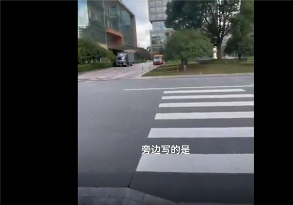 流浪猫在上海CBD拥有豪华猫舍引关注 网友感慨:替我实现了别墅梦 - v2ra小站