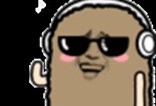 日本新研究:老鼠也会“蹦迪”、最喜欢Lady Gaga的歌 - v2ra小站