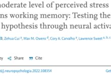 别被领导知道了！研究证明：适度压力对认知有利 - v2ra小站