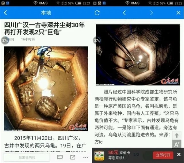 尘封30年的古井中惊现2只大乌龟：真相哭笑不得 - v2ra小站