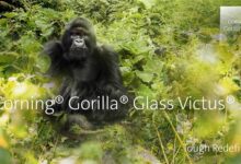 康宁发布第二代大猩猩Victus玻璃:200g手机从1米高跌落水泥地不碎 - v2ra小站