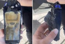 真神机!路人捡到在海中被泡出藤壶的诺基亚3210 仍能开机 - v2ra小站