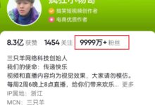 疯狂小杨哥被狙击 职业打假人有多赚钱？有人月入10万 财务自由 - v2ra小站