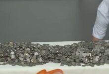 无故开除女员工被仲裁：公司恶意用100多斤硬币清偿再被罚 - v2ra小站