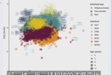 新研究称生育永久改变女性骨骼：前所未有的方式！ - v2ra小站