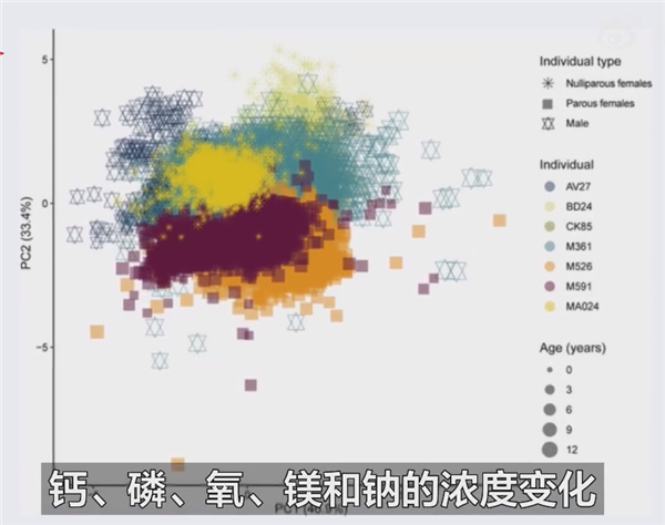 新研究称生育永久改变女性骨骼：前所未有的方式！ - v2ra小站