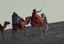 世界杯带火卡塔尔旅游业 超百万游客涌入:骆驼也得“加班” - v2ra小站